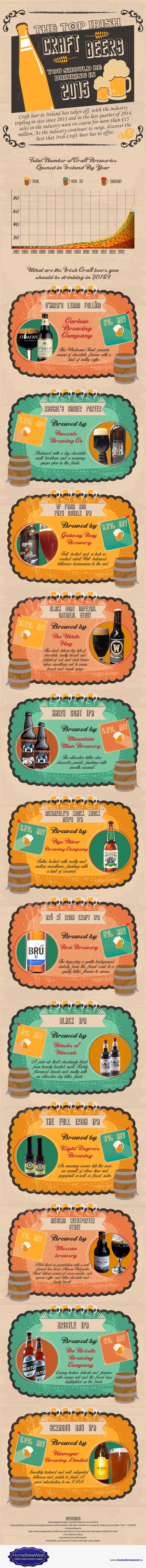 Top-Irish-Craft-Beers-Infographic.jpg