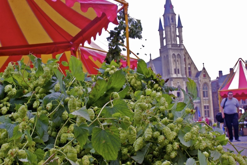 Poperinge Hop Festival Hoppefeesten 1