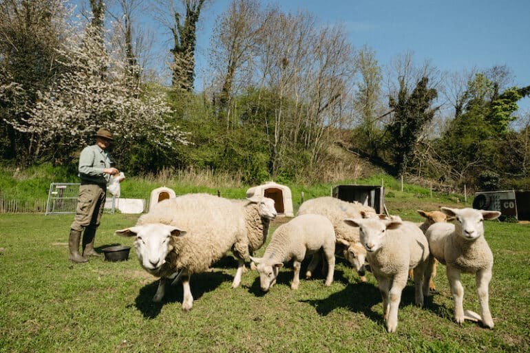 The Cheese Maker (Humans of Belgian Beer) - Belgian Smaak